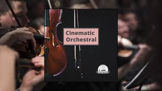 Bloom - Cinematic Music No Copyright - Orchestral Soundtracks