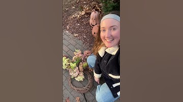 Grandma hobbies are in!!! Ft crafting a dried hydrangea wreath 😍😍