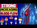 Top 5 foods to increasing blood flow  nature cure fit