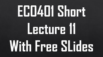 ECO401 Short Lecture 11