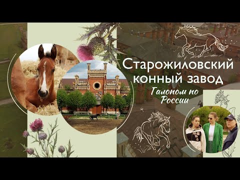 СТАРОЖИЛОВСКИЙ КОННЫЙ ЗАВОД