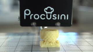 Famous PROCUSINI - Procusini® Tutorial 1, EN Profile