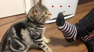 妹の足の臭いに思わずドン引きしてしまう子猫ｗ