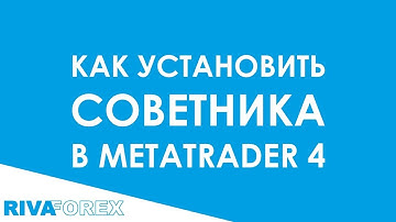 Как установить советника в Metatrader 4