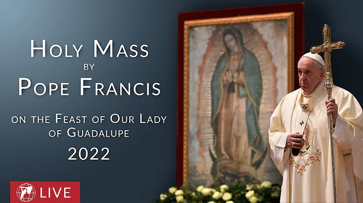 LIVE | Pope Francis Holy Mass on the Feast of Our ...