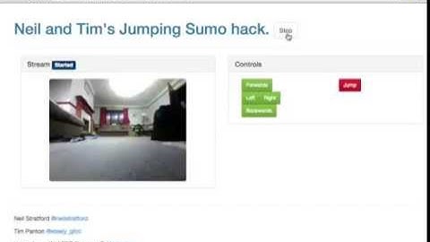 WebRTCfest Parrot Challenge Winner: Neil & Tim