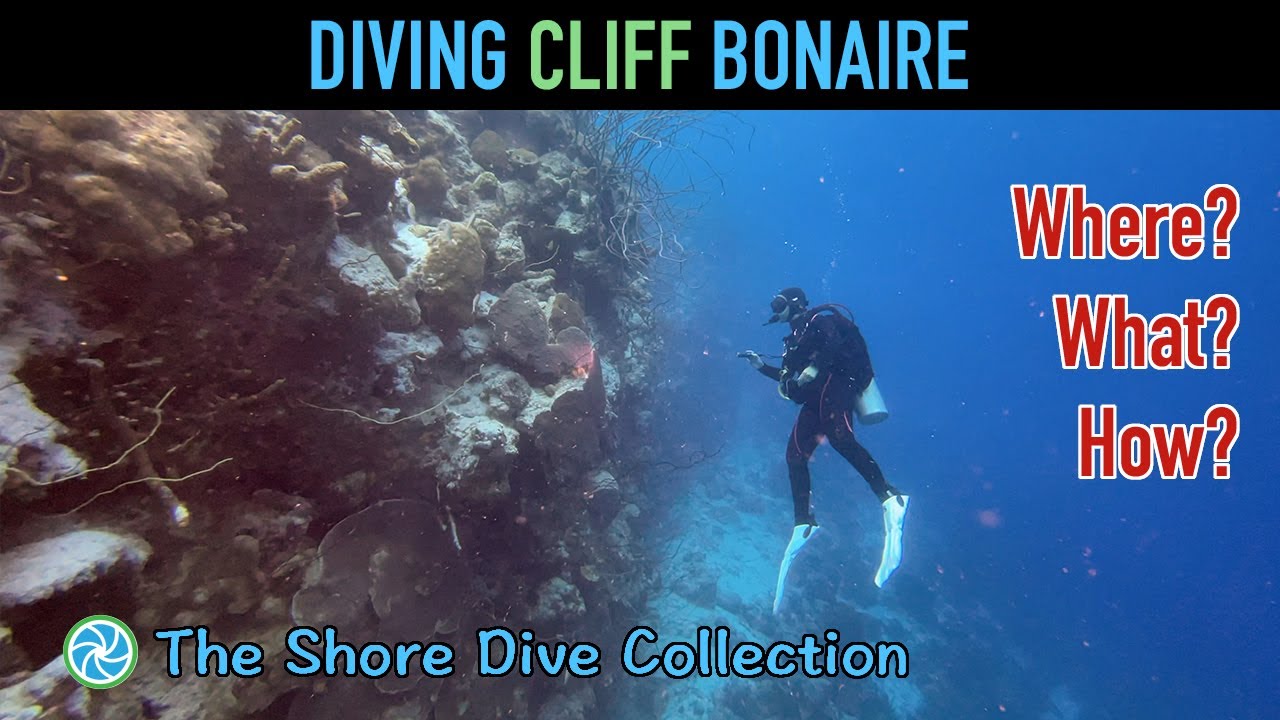 Diving Cliff Bonaire The Shore Dive Collection TropicLens 4K
