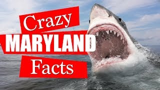 10 Maryland Facts You Did Not Know!