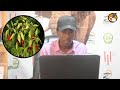 JE NI KWELI PILIPILI KICHAA INASOKO KUBWA KWA SASA FAHAMU UKWELI 