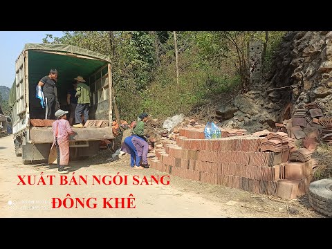 Video Cô Chú ở Đông Khê Mua Ngói Âm Dương Để Lợp Nhà Rất... - youtube