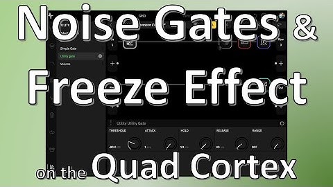 Noise Gates and the Freeze Effect on the Quad Cortex