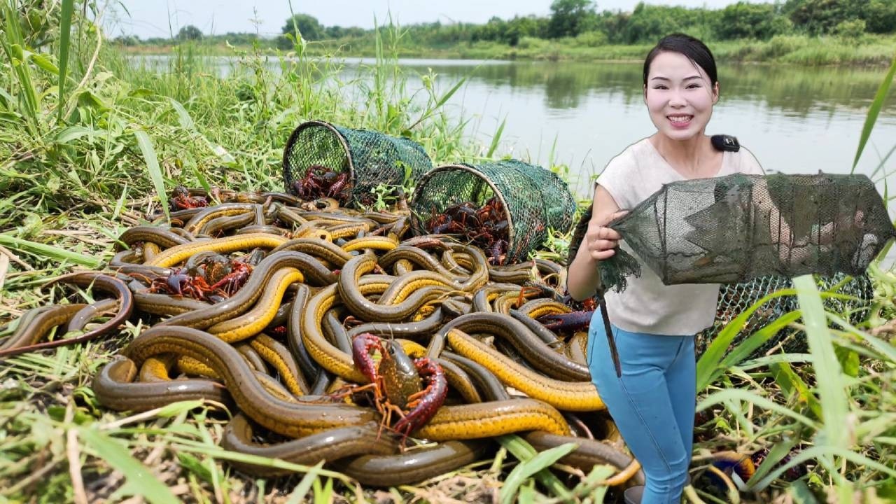 小时候跟着爷爷在田埂抓鳝鱼的记忆特别美好...但现在看着空荡荡的泥洞，突然明白有些快乐需要换个方式延续。【文杰吖】