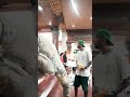 BFI X TAINSIAT