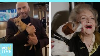 What happened to the dog John Travolta adopted at the Oscars | Positive