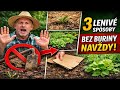 Zahoďte motyku! 3 LENIVÉ metódy, ktorými som sa zbavil buriny NAVŽDY