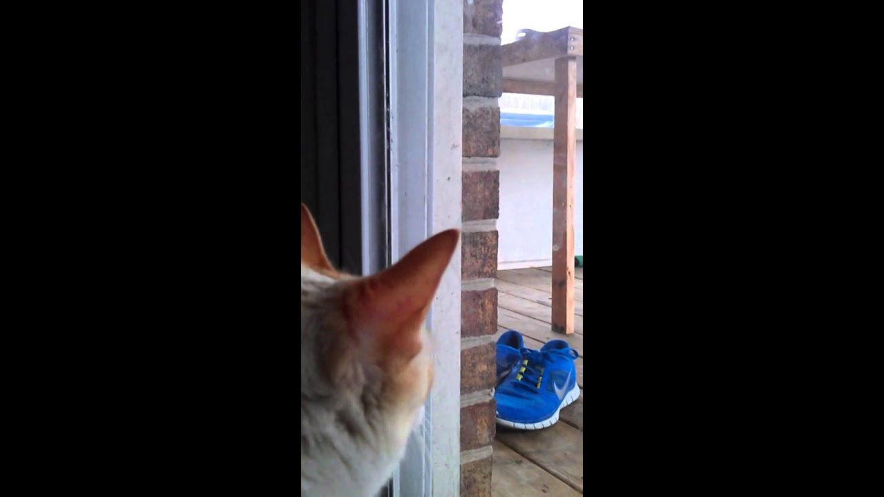 Halena looking at birds