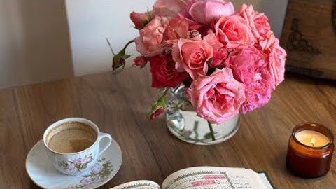 سورة البقرة(ص/٢٣)-المصحف المعلم مع الترديد-الشيخ محمد صديق المنشاوي رحمه الله تعالى- (مراجعة)