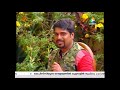 leash pulling, dog training leash walk (lincy and pet) leash pulling, dog training leash walk (lincy and pet)