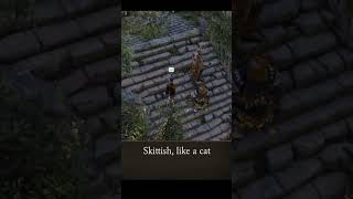 skittish — Divinity: Original Sin 2 dialogue scene