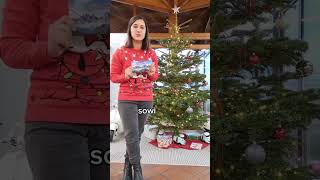 camping  lastminutexmas lastminutegifts gutschein Weihnachten weihnachtsgeschenk weihnachtsge