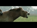 WILD HORSES - A Tale From The Puszta (teaser)