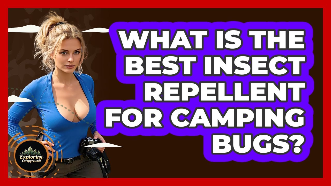 What Is The Best Insect Repellent For Camping Bugs? - Exploring Campgrounds