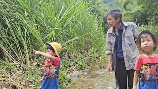 Download Lagu The boy was happy to see the kind drunk old man again MP3 Download Lagu The boy was happy to see the kind drunk old man again MP3