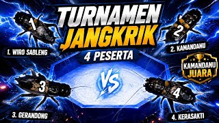 TURNAMEN JANGKRIK — Dokumentasi Hobi, Budaya & Pengamatan Perilaku Jangkrik Kalung.