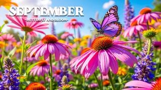 The Beauty of September 8K 🍂 Endless Flowers, Butterflies & Soft Piano screenshot 5