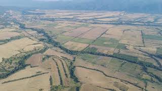 Над село Пчелин, скиторене по пустите ниви 09.08.2025