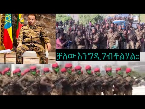 ቪዲዮ: ጎመንን በሜዳ ላይ ማብቀል፡- እንክብካቤ፣ የመትከል ህጎች እና ምክሮች