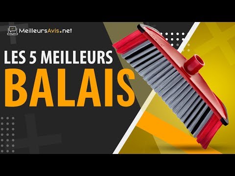 Vidéo: Balais De Bain (54 Photos) : Qu'est-ce Que C'est ? Quel Est Le Meilleur - Balai Artificiel Ou Naturel ? Vues Les Plus Utiles. Pourquoi Te Battent-ils Avec Un Balai Dans Les Bains P