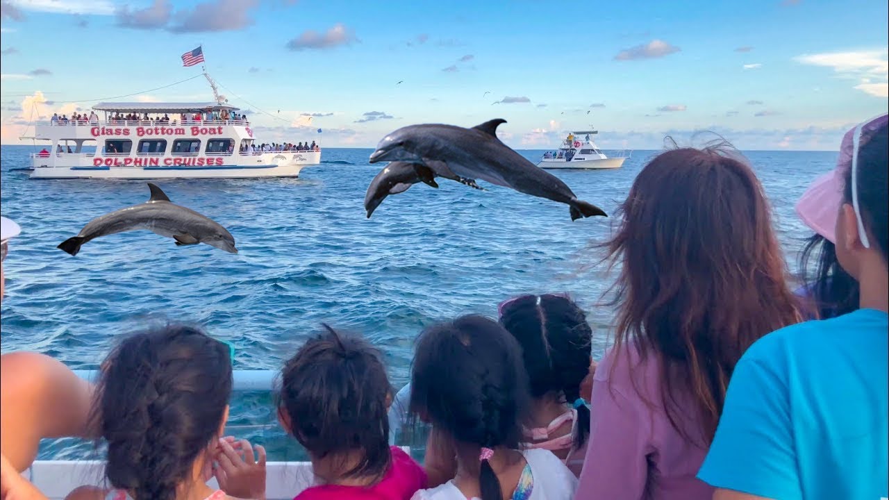 dolphin cruise ship island