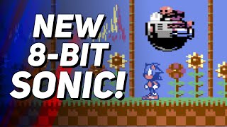 Sonic the Hedgehog for C64?! (It's so good!)
