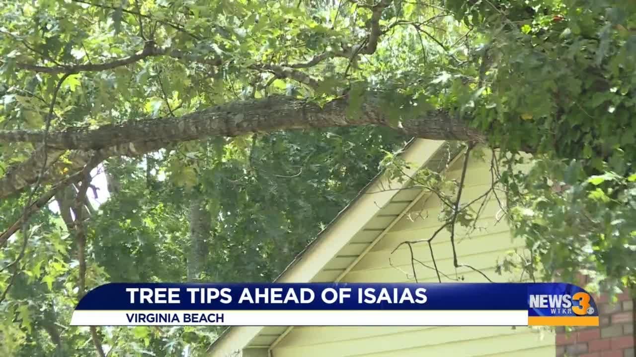 Tree expert urges and offers tips on tree care before Tropical Storm Isaias arrives
