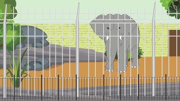 Class 4 EVS Chapter 2 Ears to Ear (Part 2) cbse ncert Environmental Studies Looking Around