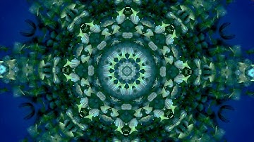 Modern Usage - Seaside (Official Music Video)