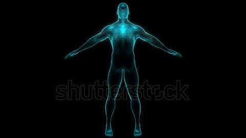 FOOTAGE - Human x-ray skeleton