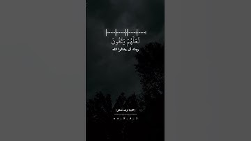 شريف مصطفى سورة طه || ارح سمعك || حالات واتس اب دينيه