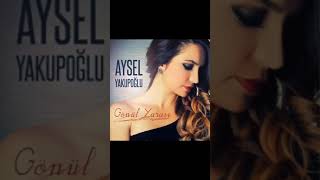 Aysel yakupoglu -gönül yarası Resimi