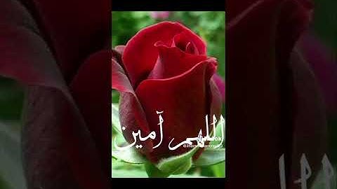 Hamza Boudid القارئ حمزة بوديب يا فرجنا إذا أغلقت الأبواب دعاء 🤲 