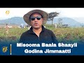 Misooma Baala Shaayii Godina Jimmaatti
