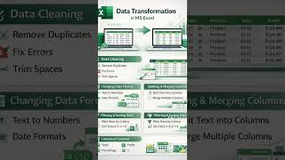 Basic Excel Formulas.               MS excel  #microsoftexcel #excelformulas #excelbasics