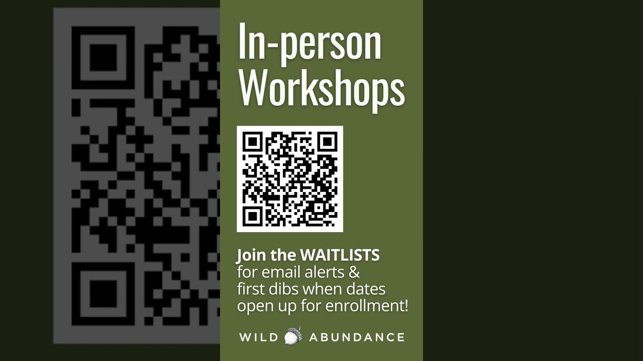 Почему студентам нравится устраивать кемпинг во время занятий