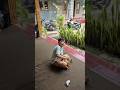 yang aijaz lakukan di sumber jeruk #roblox #music #vocal #kpop #haveitoldyoulatelythatiloveyou