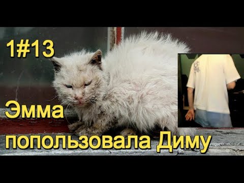 Видео: 1#13  Блохастый Кыштымский кот вылез из пепла/Эмма попользовала Диму Куприна?/ 18+