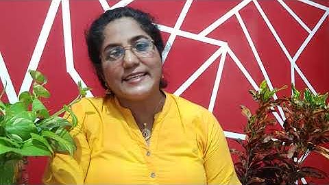 ##Internship Format ## MAPC Clinical and Counselling Psychology