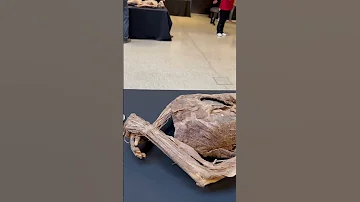 Музей настоящих тел