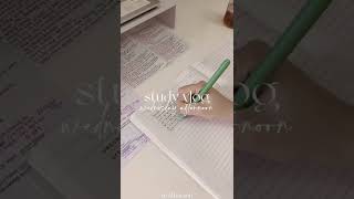 Mini Study Vlog 