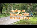 Update sa Bagyong TINO / Merida Leyte / Clearing sa kalsada sa mga Kahoy